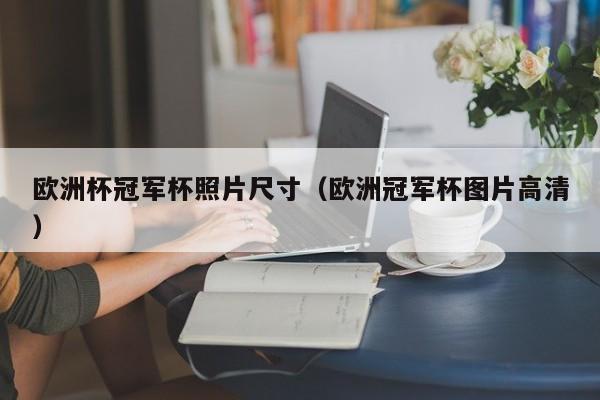 欧洲杯冠军杯照片尺寸(欧洲冠军杯图片高清)