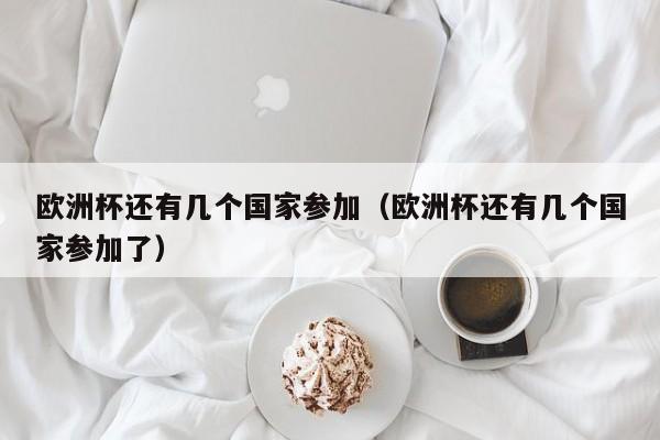 欧洲杯还有几个国家参加(欧洲杯还有几个国家参加了)