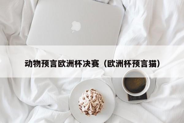 动物预言欧洲杯决赛(欧洲杯预言猫)