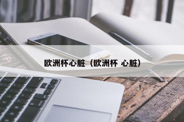 欧洲杯心脏(欧洲杯 心脏)