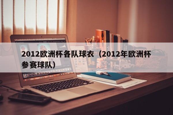 2012欧洲杯各队球衣(2012年欧洲杯参赛球队)