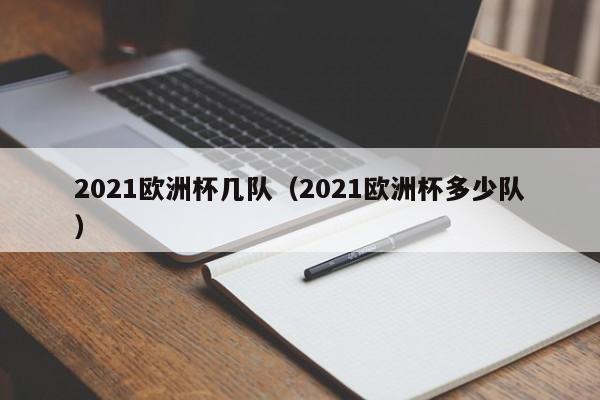 2021欧洲杯几队(2021欧洲杯多少队)