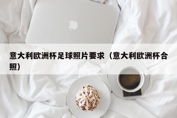 意大利欧洲杯足球照片要求(意大利欧洲杯合照)
