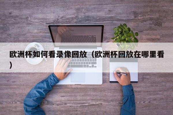 欧洲杯如何看录像回放(欧洲杯回放在哪里看)