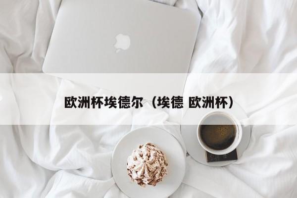 欧洲杯埃德尔(埃德 欧洲杯)