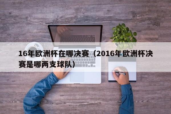 16年欧洲杯在哪决赛(2016年欧洲杯决赛是哪两支球队)