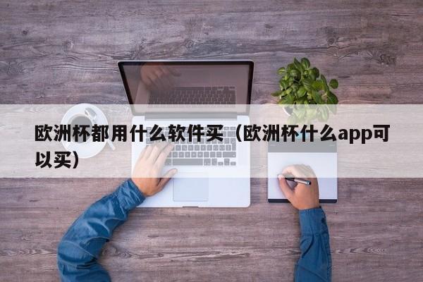 欧洲杯都用什么软件买（欧洲杯什么app可以买）