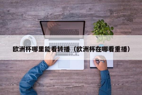 欧洲杯哪里能看转播（欧洲杯在哪看重播）