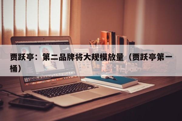 贾跃亭:第二品牌将大规模放量(贾跃亭第一桶)