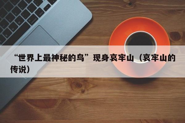 “世界上最神秘的鸟”现身哀牢山(哀牢山的传说)