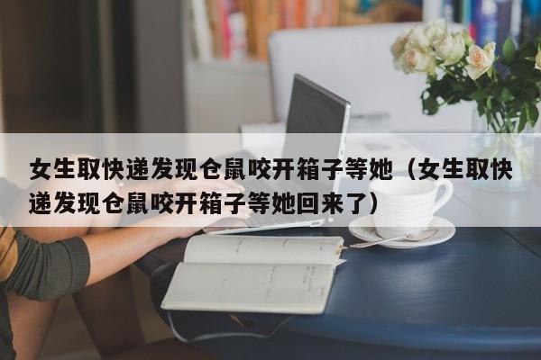 女生取快递发现仓鼠咬开箱子等她(女生取快递发现仓鼠咬开箱子等她回来了)