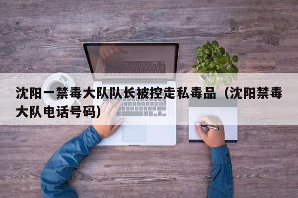 沈阳一禁毒大队队长被控走私毒品(沈阳禁毒大队电话号码)
