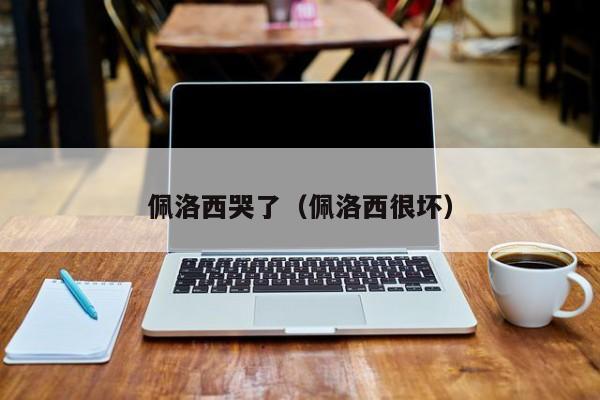 佩洛西哭了(佩洛西很坏)