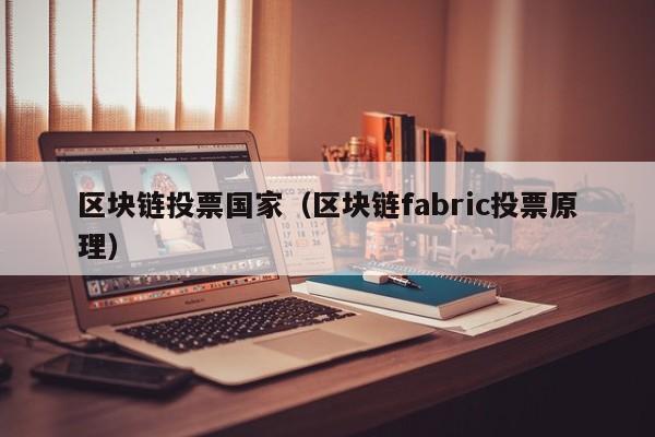 区块链投票国家(区块链fabric投票原理)