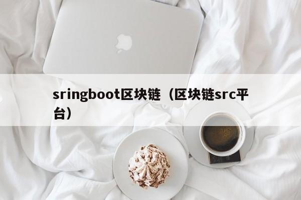 sringboot区块链(区块链src平台)