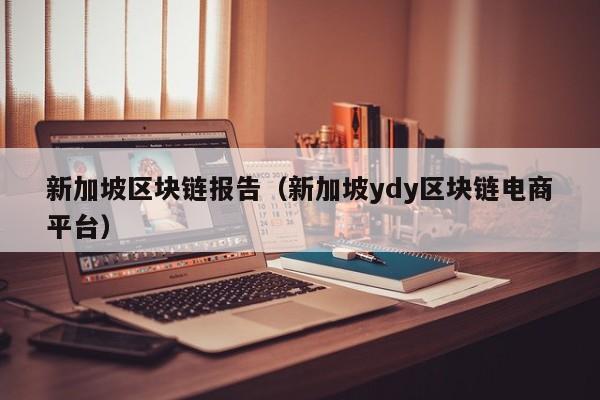 新加坡区块链报告(新加坡ydy区块链电商平台)