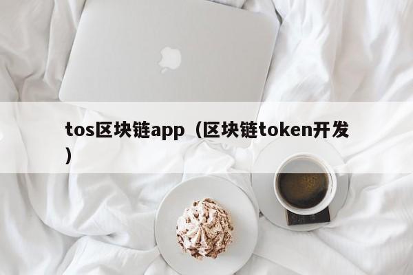 tos区块链app(区块链token开发)