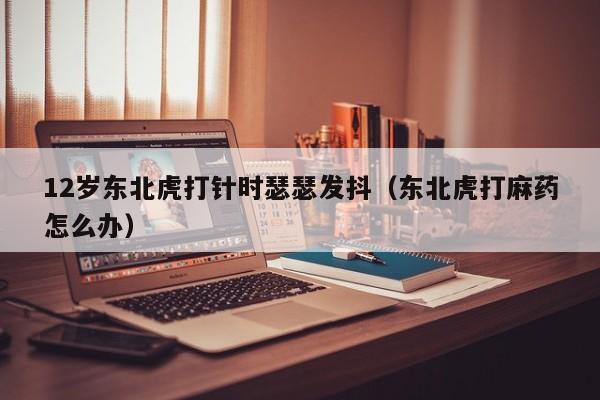 12岁东北虎打针时瑟瑟发抖（东北虎打麻药怎么办）