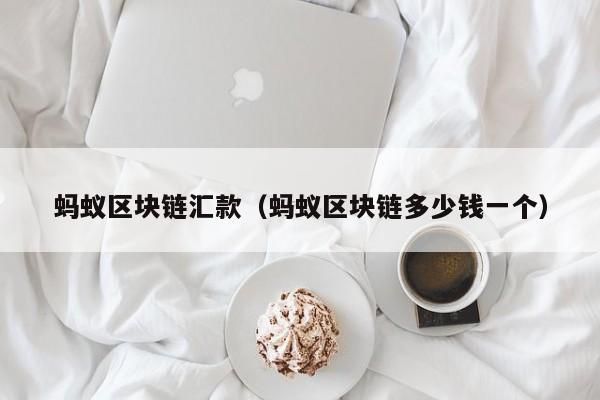 蚂蚁区块链汇款(蚂蚁区块链多少钱一个)