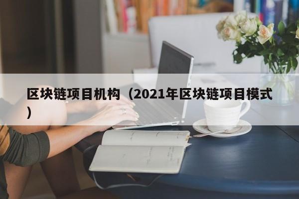 区块链项目机构(2021年区块链项目模式)