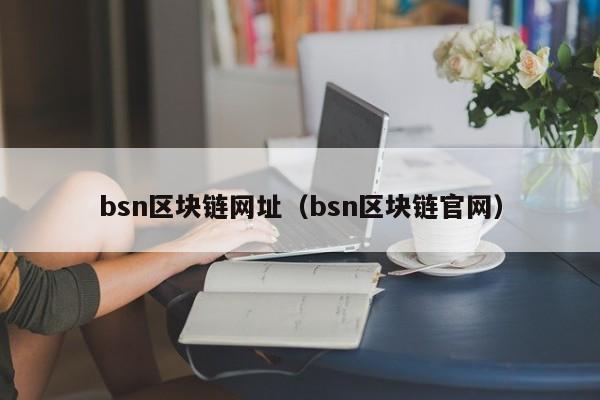 bsn区块链网址(bsn区块链官网)