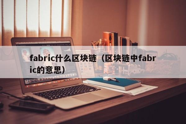 fabric什么区块链(区块链中fabric的意思)