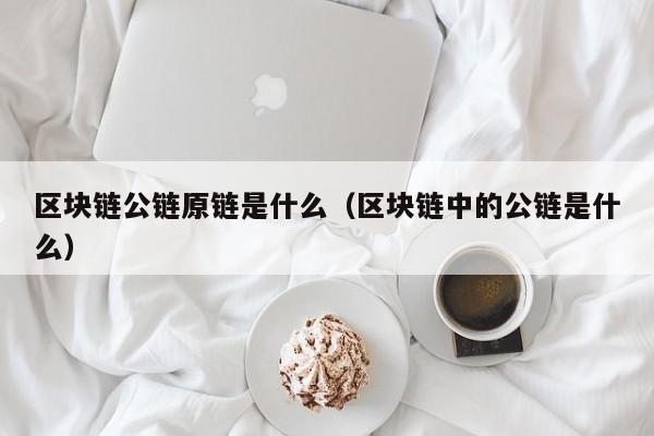 区块链公链原链是什么（区块链中的公链是什么）