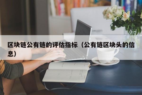 区块链公有链的评估指标(公有链区块头的信息)