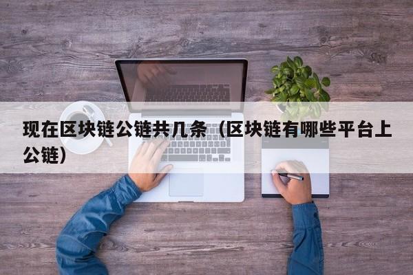 现在区块链公链共几条（区块链有哪些平台上公链）