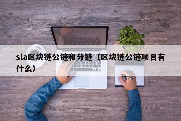 sla区块链公链和分链(区块链公链项目有什么)