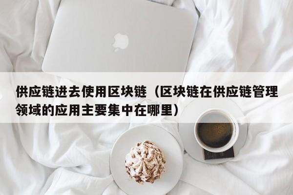 供应链进去使用区块链（区块链在供应链管理领域的应用主要集中在哪里）