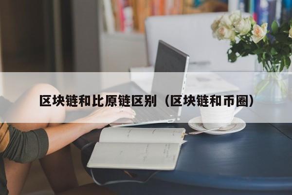 区块链和比原链区别(区块链和币圈)