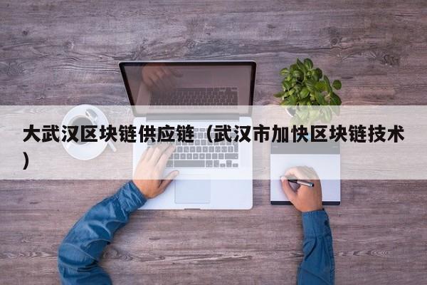 大武汉区块链供应链（武汉市加快区块链技术）