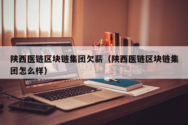 陕西医链区块链集团欠薪（陕西医链区块链集团怎么样）