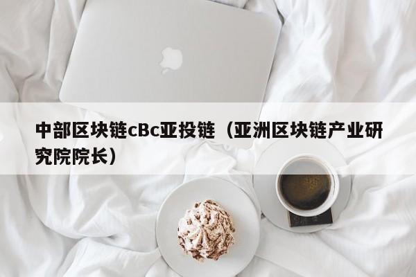 中部区块链cBc亚投链（亚洲区块链产业研究院院长）