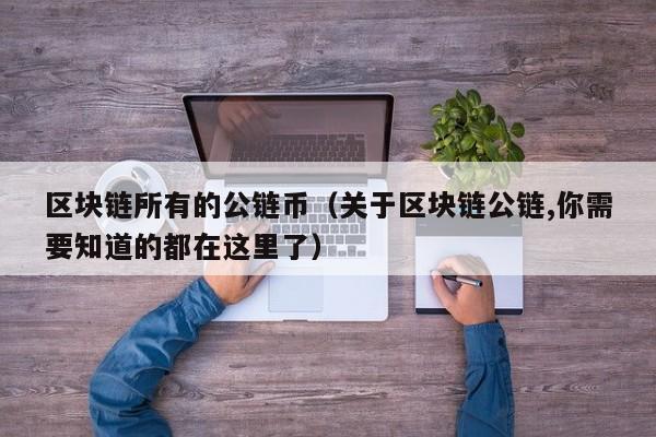 区块链所有的公链币（关于区块链公链,你需要知道的都在这里了）